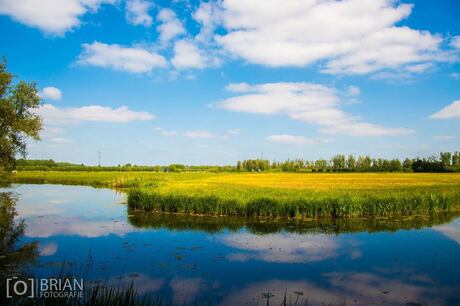 Lekker hollands in de Biesbosch