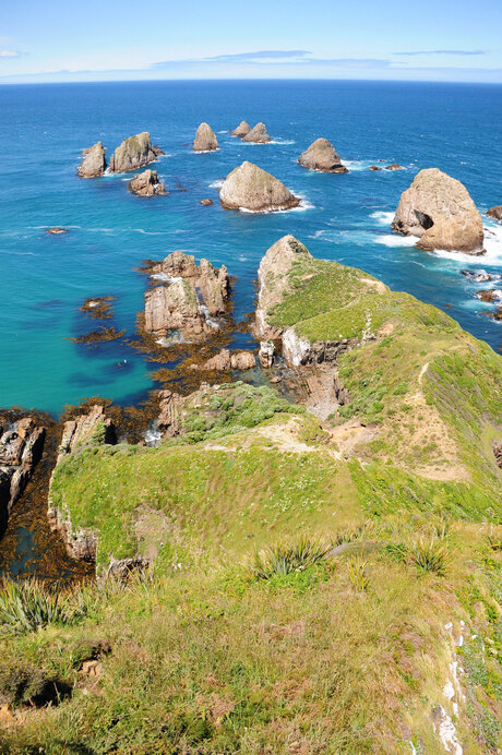 Nugget Point