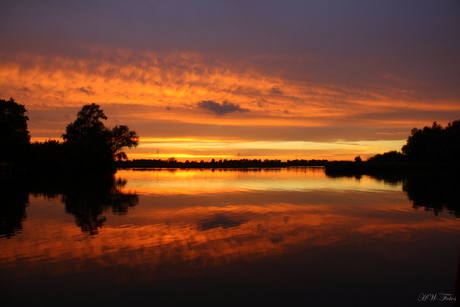 Biesbosch sun