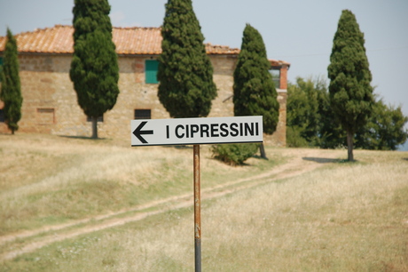 I cipressini