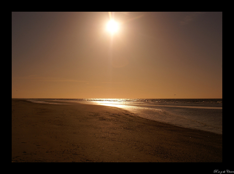 Renesse strand