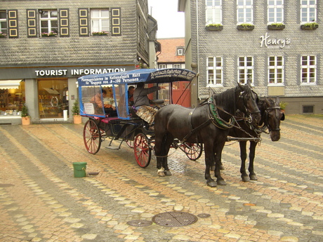 paard en wagen