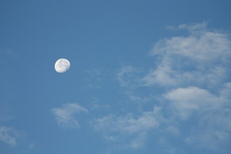 Maan in de blauwe lucht