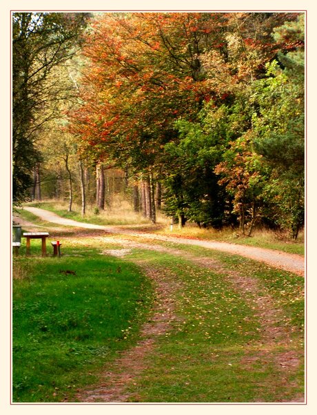 Herfstwandeling