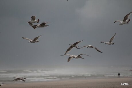 On the beach