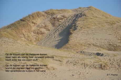 Fotogedicht Helderse duinen