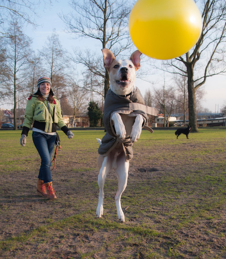 Playing catch