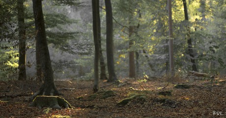 Vroege herfst