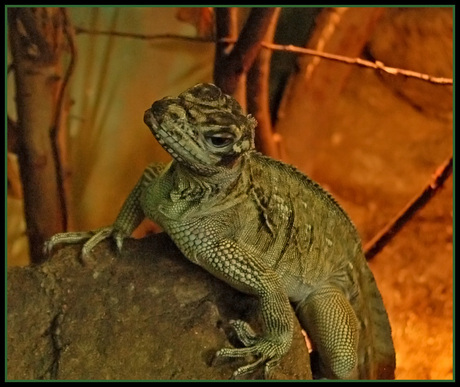 Heb je 't tegen mij?!