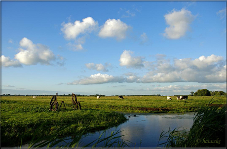 Polderlandschap