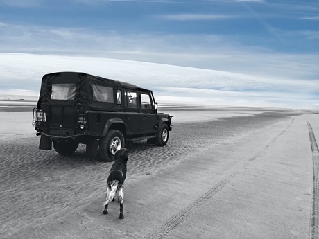 Defender on the Beach