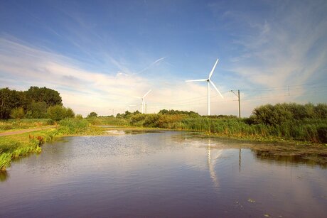 In de polder nr2