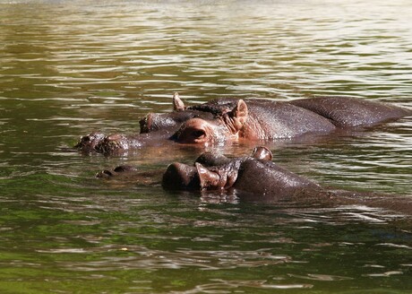 Lekker met dit weer!