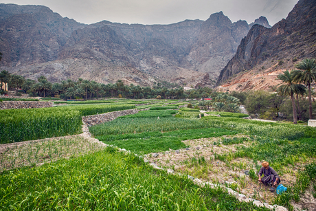 Ook Oman heeft schitterende natuur