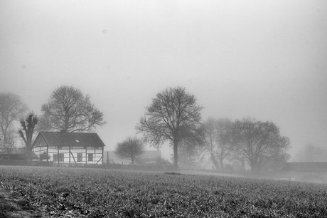 Mistig Limburg