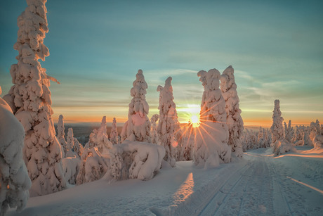 Zonsondergang in Lapland