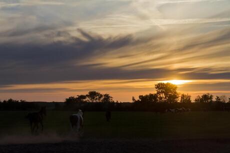 De zonsondergang tegemoet