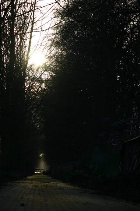 Pad met zonsondergang