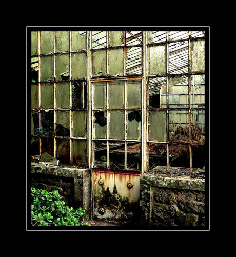 Greenhouse