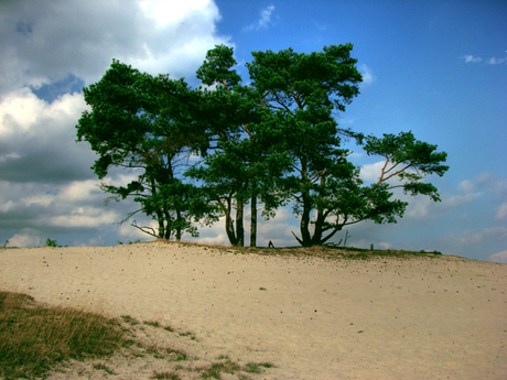 Soesterduinen