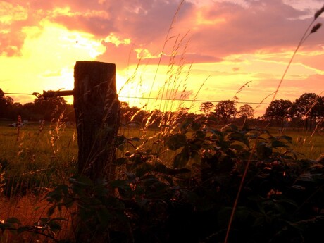 Zonsondergang