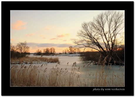 Winter Biesbosch