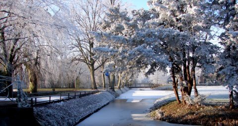 Prettige jaarwisseling - Allemaal een gezond, gelukkig, inspirerend, fotogeniek en voorspoedig 2011. - foto door willemijn1302 op 31-12-2010 - deze foto bevat: sneeuw, ijs, paradijs, oud-beijerland, Laning