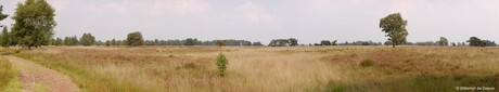 Strabrechtse Heide bij Heeze
