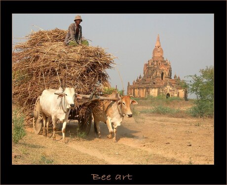 Bagan