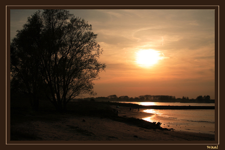 Waal bij zonsondergang