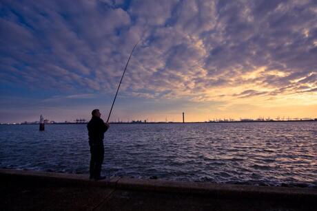 Hoek van Holland 3