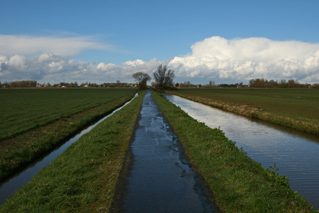 Polder van Montfoort