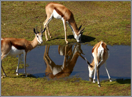 spiegeltje .. spiegeltje ...