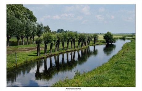 Hollands landschap