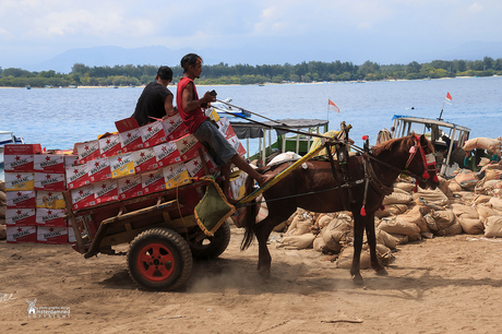 Indonesische Heinekenkoets