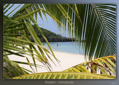 Roatan Honduras