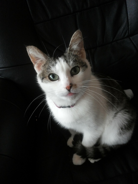 Wou je zitten? op mijn stoel?!