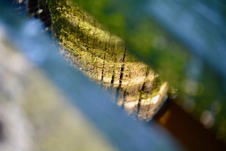 Weerspiegeling tussen de steiger door