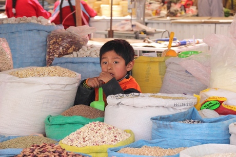 Op de markt 1