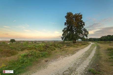 Zuiderheide