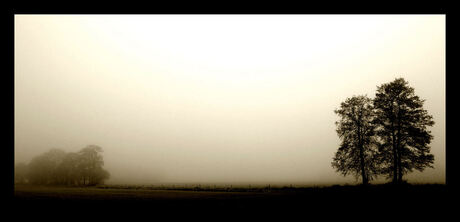 mist