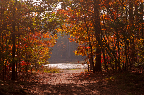 Herfst1