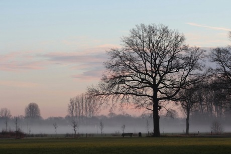 Sprookjessfeer in Brummen