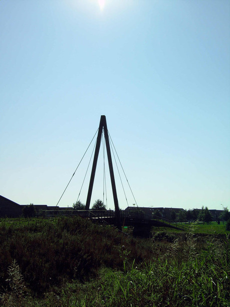 Burg en zon op 1 lijn