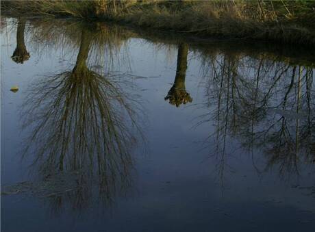 Weerspiegeling 2