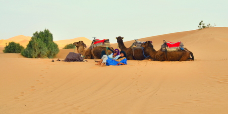 Berbers in de Sahara