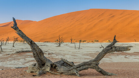 Deadvlei anders