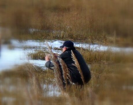 Wanhopige ZOOMER in het riet!