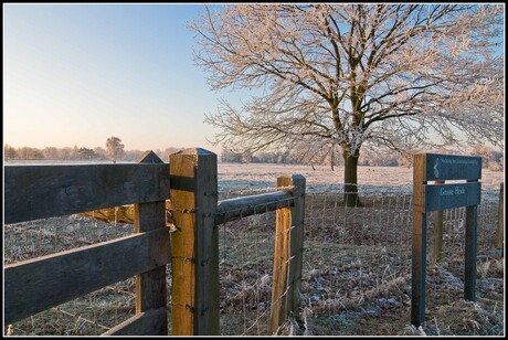 Groote heide Venlo