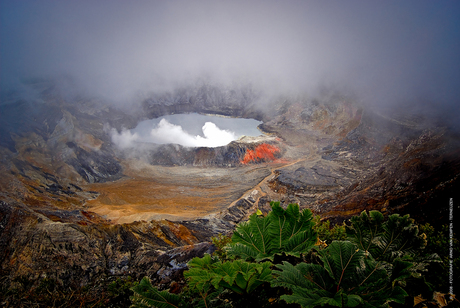 Vulkaan Poas Costa Rica